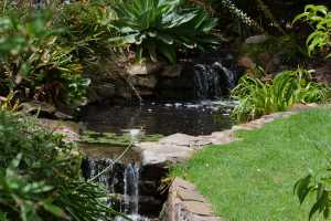 carrick hill 2014 (88)